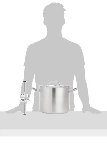 Amazon Basics 12 quarts Stainless Steel Aluminum-Clad Stock Pot with Cover