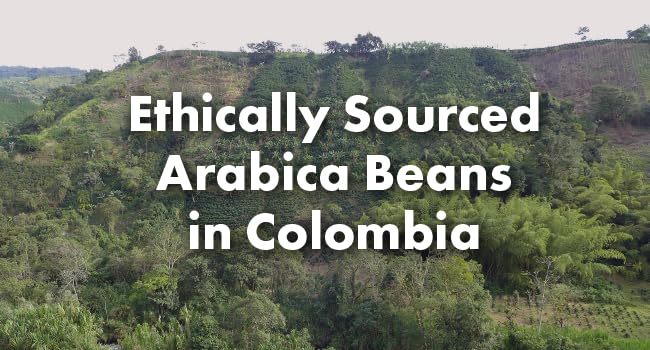 Café Grumpy Coffee - Colombia Whole Beans Arabica, 12oz Bag, Single Origin, Medium Roast, Drip, French Press, Pour Over, Cold Brew (Whole Beans)