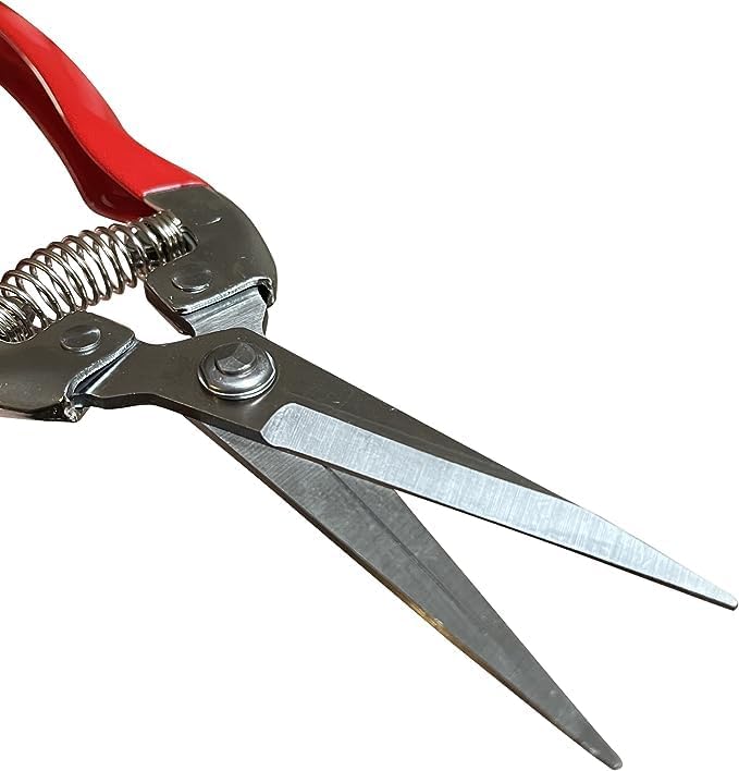Garden Guru Straight Stainless Steel Pruner Pruning Shears Clippers Snips Sharp Bonsai Cutter Plant Trimming Scissor Straight Blade Garden Scissors Tool -Great for Roses Flowers Herbs Fruits (2 Pack)