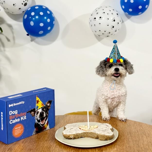 BoneItUp Dog Birthday Cake Kit - Bake Birthday Cakes for Dogs - Dog Party Supplies Set with - Large Cake Mold, 3 Vet-Backed Cake Recipes, 2 Drawing Pens, 10 Balloons, Birthday Hat & Bow