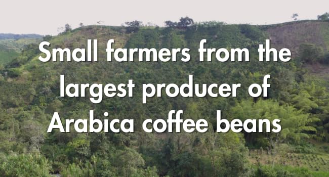 Café Grumpy Low Acid, Decaf Coffee, Pregnancy Safe, Ground French Press, Medium Roast, Single Origin, Premium Quality, Gentle on Stomach