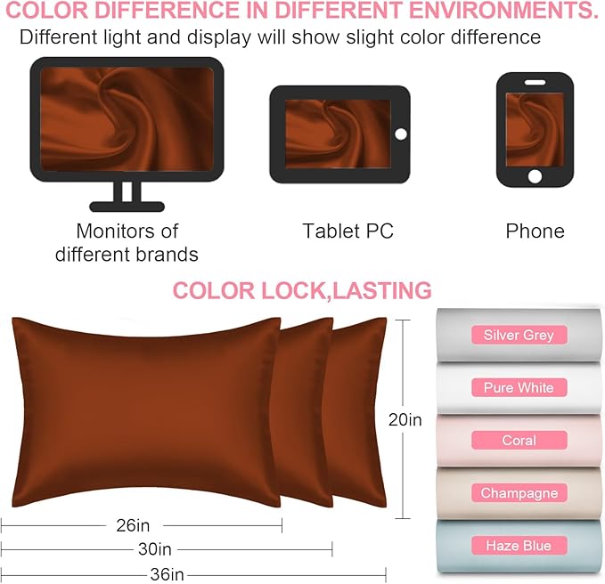 Mulberry Silk Pillow Cases 2 Pack Standard Size 20x26 Inches with Hidden Zipper, Ultra Smooth and Soft Breathable Cooling Silk Satin Pillowcase Set of 2, Better for Hair and Skin, Gifts for Women Men