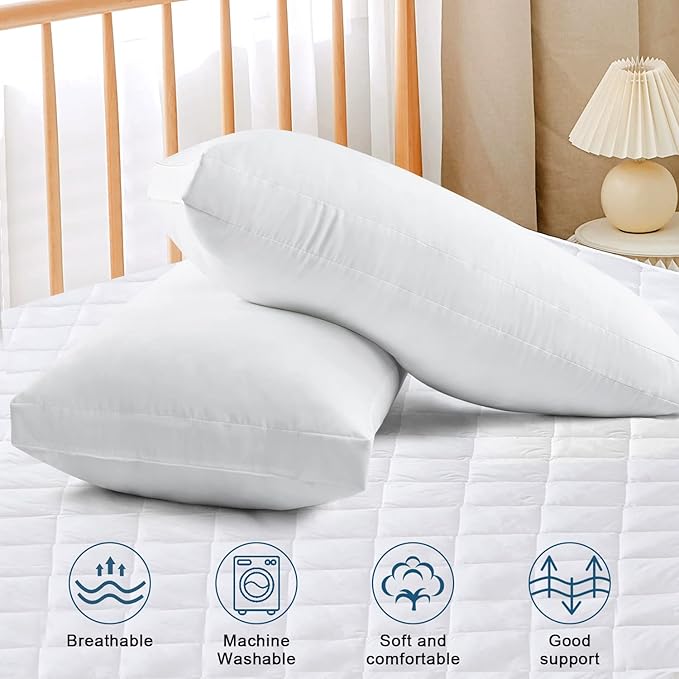 EIUE Bed Pillows for Sleeping 2 Pack Queen Size，Super Soft Down Alternative Microfiber Filled Pillows,20 x 30 Inches,White