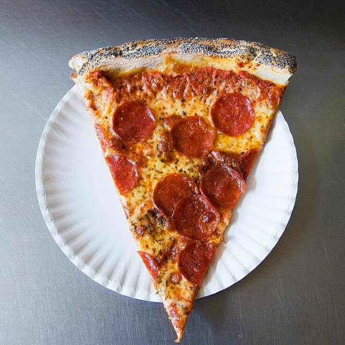 Bluetable 9 Inch Paper Plates Bulk – 500 Count - Uncoated White 9” Dinner Plate Pizza Plate Decorative Craft Paper Plates Disposable Plates [500 Pack/Case]