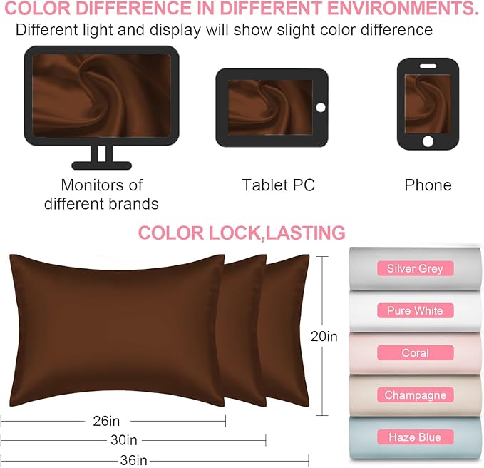 Mulberry Silk Pillow Cases 2 Pack Queen Size 20x30 Inches with Hidden Zipper, Ultra Smooth and Soft Breathable Cooling Silk Satin Pillowcase Set of 2, Better for Hair and Skin, Gifts for Women Men