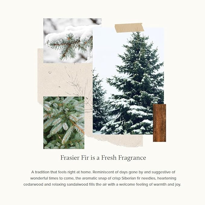 Thymes Frasier Fir Reed Diffuser Set – Includes Reeds, Fragrance Oil, and Frosted Glass Bottle – Fragrance Oil Diffuser – Room Fresheners – Luxury Home Decor – Gold (Gilded, 4 fl oz)