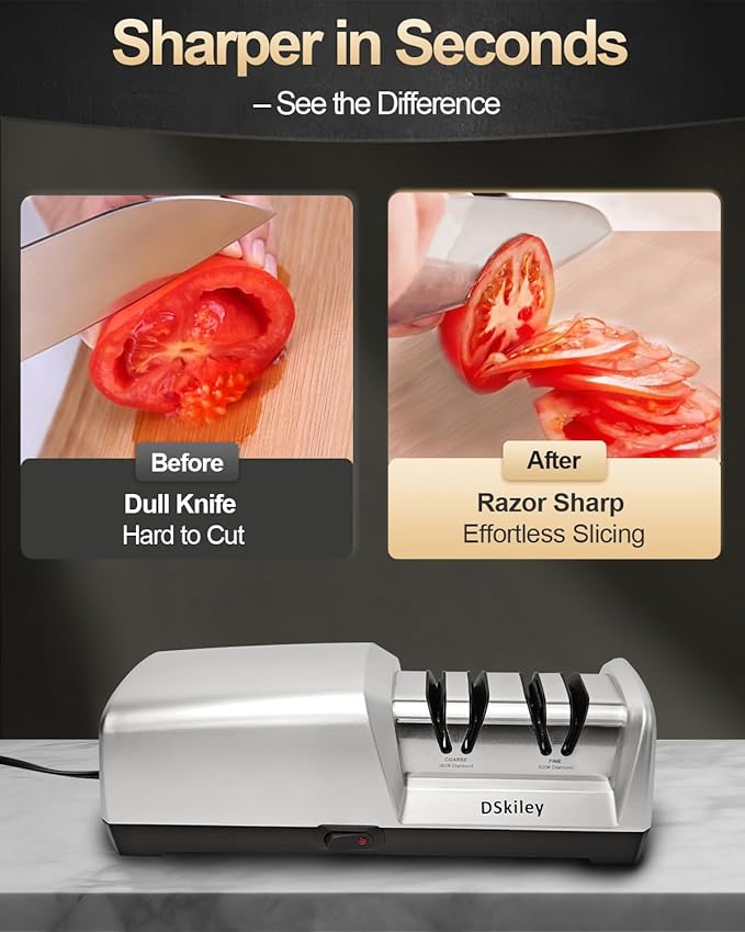 Professional 3-stage Electric Knife Sharpener for Kitchen Knives, with 100% Diamond Abrasive 20° Precision Angle Guide, Quickly Sharpening, Repairing/Restoring/Polish Blades (2-Stage Silver)