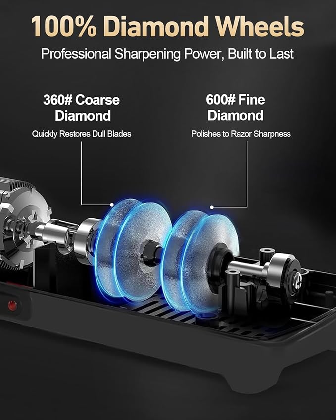 Professional 3-stage Electric Knife Sharpener for Kitchen Knives, with 100% Diamond Abrasive 20° Precision Angle Guide, Quickly Sharpening, Repairing/Restoring/Polish Blades (2-Stage Silver)