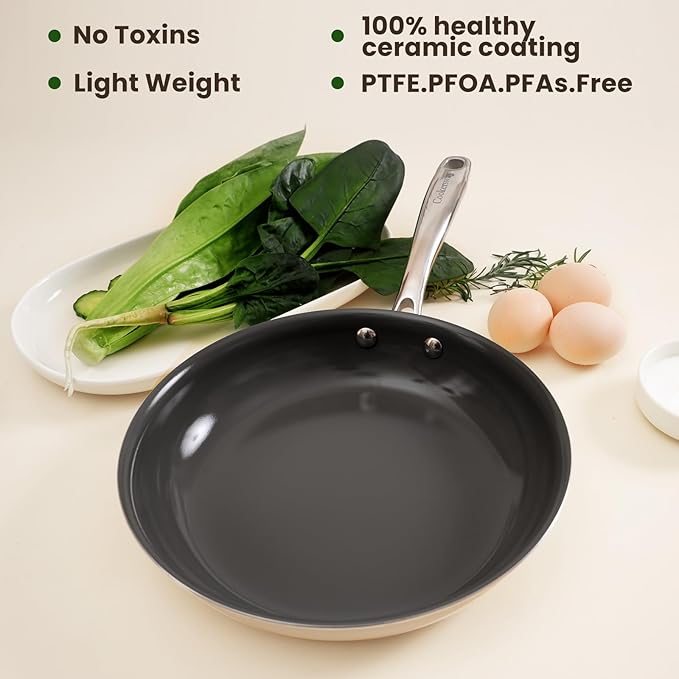 Skillet Ceramic Non Stick Frying Pan, 9.5Inches Nonstick Egg Fry Chefpan for Cooking, PFOA PTFE PFAS Free,Induction Compatible,Oven,Dishwasher Safe