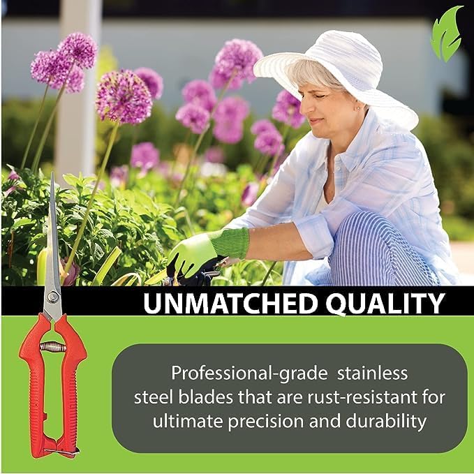 GARDEN GURU Extra Long Stainless Steel Pruner Pruning Shears Clippers Snips – Sharp Bonsai Cutter Trimming Scissors – Straight Blade Garden Scissors Tool – Great for Flowers Herbs - 1 Case (50 Pcs)