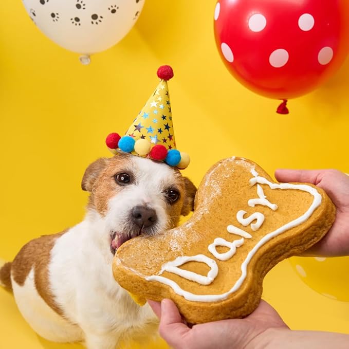 BoneItUp Dog Birthday Cake Kit - Bake Birthday Cakes for Dogs - Dog Party Supplies Set with - Large Cake Mold, 3 Vet-Backed Cake Recipes, 2 Drawing Pens, 10 Balloons, Birthday Hat & Bow