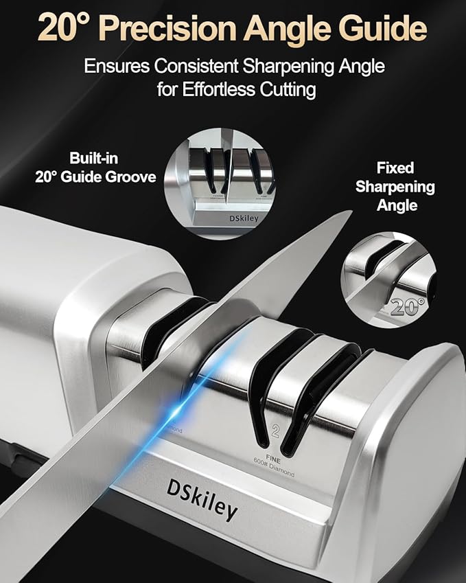 Professional 3-stage Electric Knife Sharpener for Kitchen Knives, with 100% Diamond Abrasive 20° Precision Angle Guide, Quickly Sharpening, Repairing/Restoring/Polish Blades (2-Stage Silver)