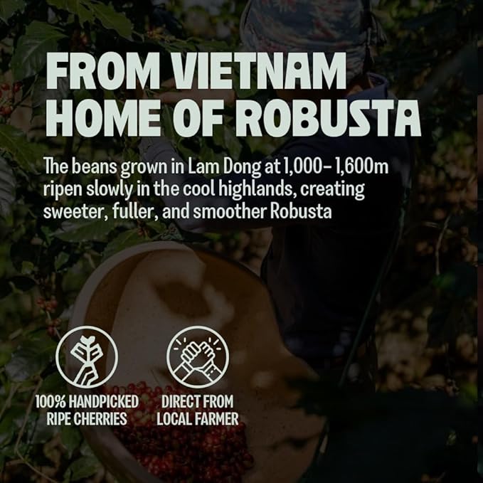 BAZAN COFFEE - Too Strong Robusta Vietnamese Whole Bean Coffee Dark Roast, Single Origin, High Caffeine & Low Acid Coffee, Bold Espresso Coffee Beans for Espresso Lovers, Full Bodied Flavor - 12oz bag
