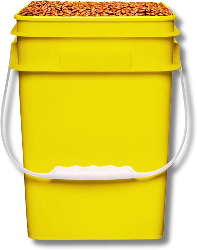 House Naturals 4 Gallon Square Food Grade Bucket Pail with Plastic Handles and Lid (Pack of 3) Made in USA containers (Yellow)