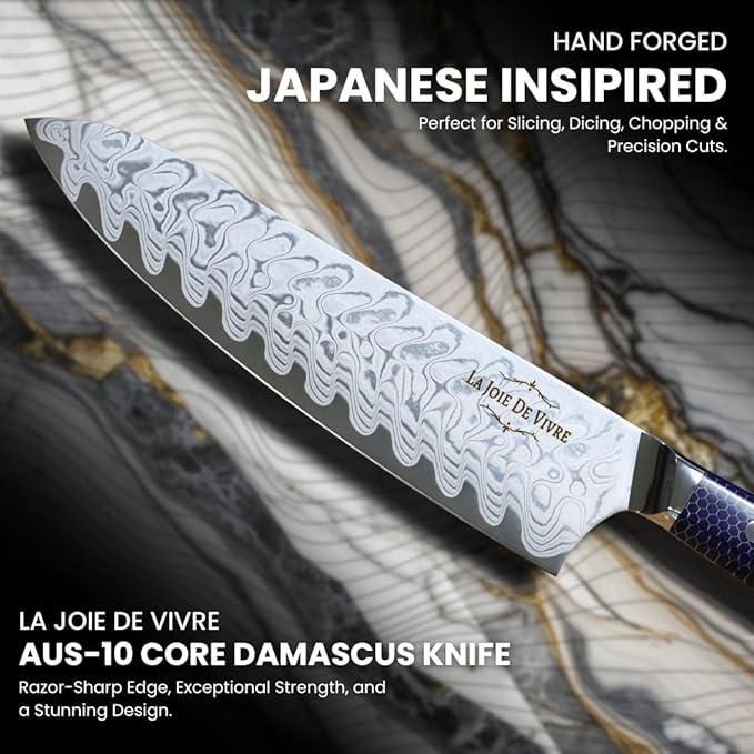 AUS-10 Damascus Chef Knife – 8 Inch Japanese Kitchen Knife, 67-Layer Steel, Ultra-Sharp Blade, Ergonomic Blue Resin Handle, Gift Box Included