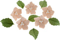 Global Sugar Art Blossoms and Leaves Edible Sugar Cake & Cupcake Flowers, Peach, Small Unwired, 24 Count with leaves by Chef Alan Tetreault