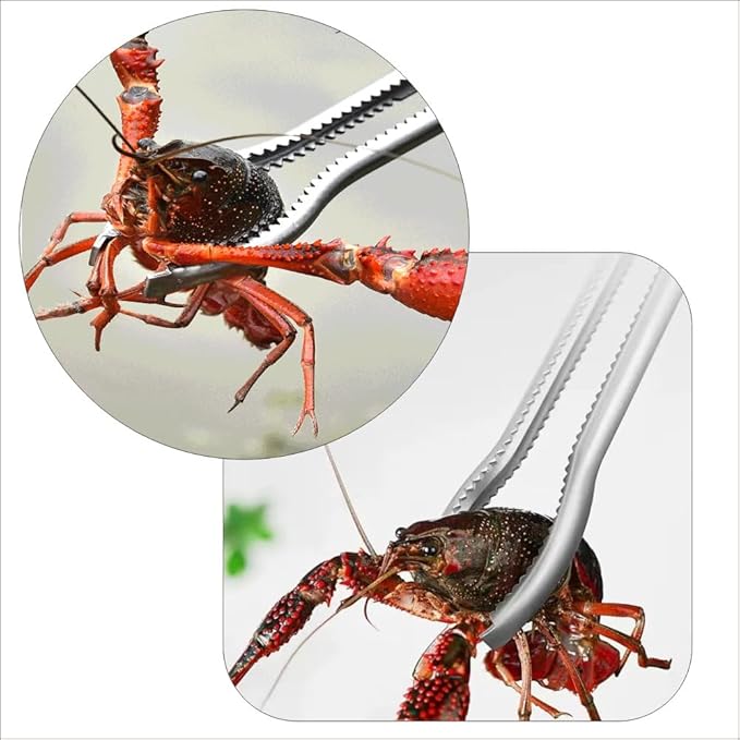 2 Piece Stainless Steel Crab Tong Eel Clamp Tong for Reptile Feeding Snake Charcoal Trash Pick - Up Seafood Picking for Low Tide
