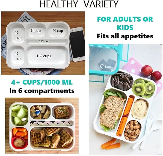Bento Box Lunch-Box with Bag and Ice Pack, Insulated Lunch Bag and Snack Container Set for Kids Boys Girls Adults. 6 Compartments, Divided Portion Containers, Boxes for School Lunches, Teal