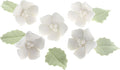 Global Sugar Art Blossoms and Leaves Edible Sugar Cake & Cupcake Flowers, White, Small Unwired, 24 Count with Leaves by Chef Alan Tetreault
