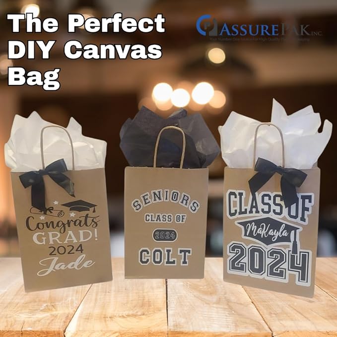 ASSUREPAK DIY Earth Friendly Paper Bags - 60LB - 10"x6.75"x12" - 100 Bags - 90 GSM - Kraft/Natural - Gift Bags for Decorating & Graduation Parties