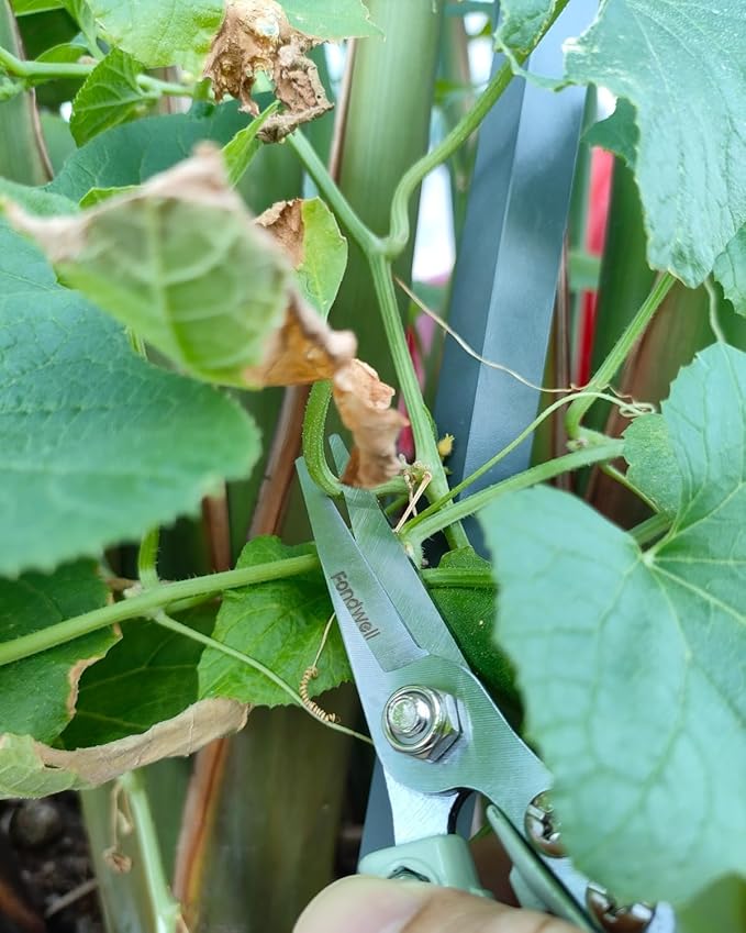 Fondwell 6" Pruning Shears Garden Scissors: Ultra Sharp Garden Clippers - Reliable Flower Snips for Trimming Small Plants