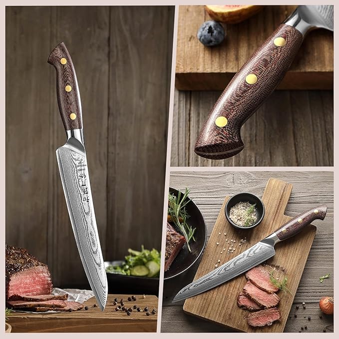 HEZHEN Carving Knife, 67 Layers Damascus Steel BBQ Slicing, 8.3 Inches, Professional Brisket Slicing Meat Knife, Ergonomic Micarta Handle, Gift Packing