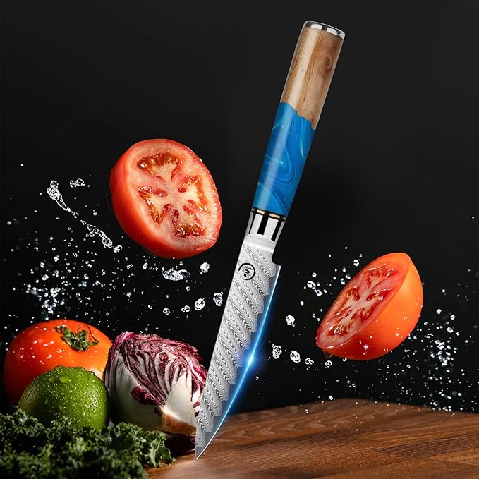 5 Piece Damascus Knife Set, Professional Japanese Knife Set with Japanese VG 10 Steel Core, Blue Resin Handle, Includes Chef, Santoku, Bread, Boning & Paring Damascus Knives in Gift Box