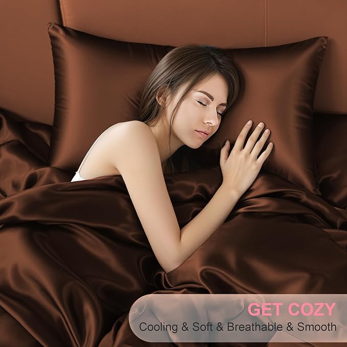 Mulberry Silk Pillow Cases 2 Pack Queen Size 20x30 Inches with Hidden Zipper, Ultra Smooth and Soft Breathable Cooling Silk Satin Pillowcase Set of 2, Better for Hair and Skin, Gifts for Women Men