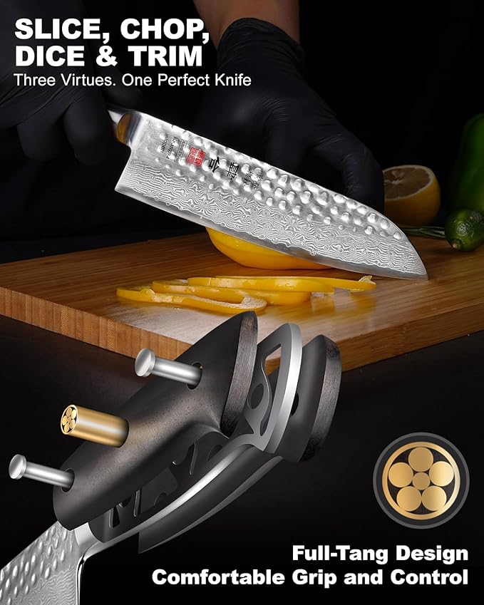 Santoku Knife 7 Inch Japanese Chef Knife with 67 Layers Damascus Steel AUS-10 Core, Razor Sharp Chefs Knife with Full-Tang Ebony Wood Handle and Premium Gift Box(Hammered Damascus Series)