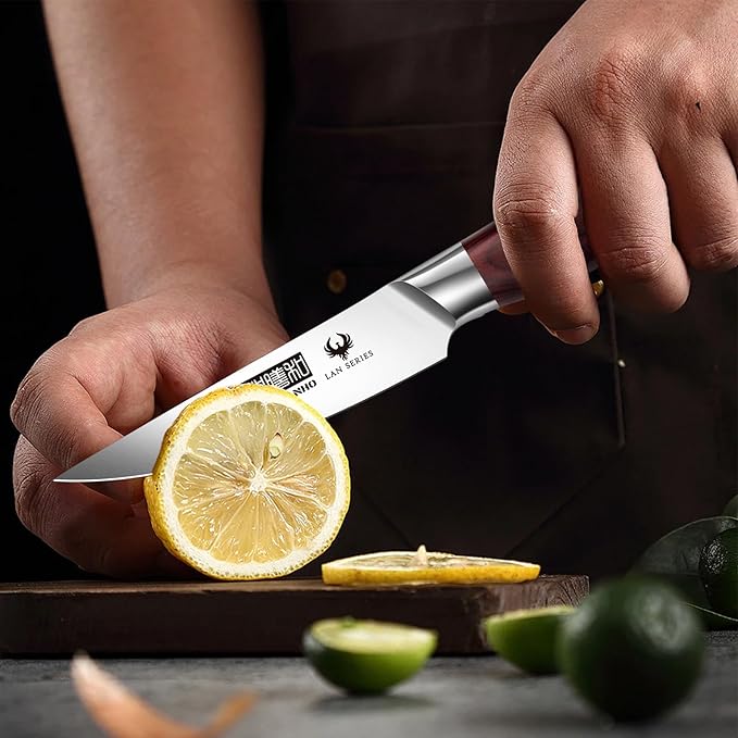 HOSHANHO 3.75 Inch Paring Knife, Ultra Sharp High Carbon Stainless Steel Small Kitchen Knife, Professional Janpanese Fruit Knife with Ergonomic Wood Handle