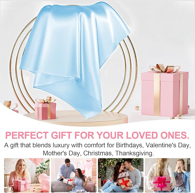 Mulberry Silk Pillow Cases Queen Size with Hidden Zipper, Ultra Smooth and Soft Breathable Cooling Silk Satin Pillowcase for Hair and Skin, Gifts for Women Men (Sky Blue, 20x30 Inches, 1 Pack)