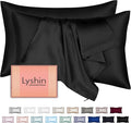 Mulberry Silk Pillow Cases 2 Pack Standard Size 20x26 Inches with Hidden Zipper, Ultra Smooth and Soft Breathable Cooling Silk Satin Pillowcase Set of 2, Better for Hair and Skin, Gifts for Women Men