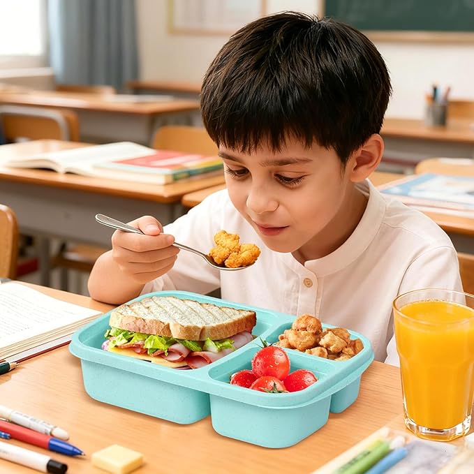 4 Pack Adult Lunch Box Set, Reusable 3-compartment food containers, Microwave and Dishwasher Safe (4 light color)