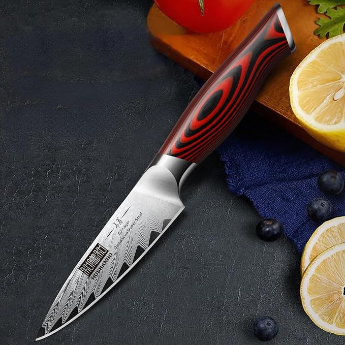 HOSHANHO Paring Knife 3.75 Inch Small Kitchen Knife, Super Sharp Damascus Steel Fruit Knife, Multifunctional Peeling Knife for Cutting Fruit Vegetables