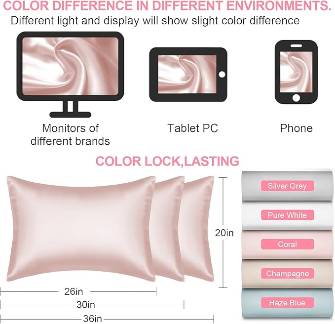 Mulberry Silk Pillow Cases 2 Pack Queen Size 20x30 Inches with Hidden Zipper, Ultra Smooth and Soft Breathable Cooling Silk Satin Pillowcase Set of 2, Better for Hair and Skin, Gifts for Women Men