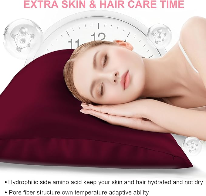 Mulberry Silk Pillow Cases 2 Pack Standard Size 20x26 Inches with Hidden Zipper, Ultra Smooth and Soft Breathable Cooling Silk Satin Pillowcase Set of 2, Better for Hair and Skin, Gifts for Women Men