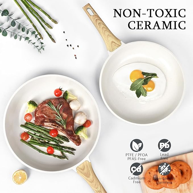GiPP Ceramic Nonstick Frying Pan - 10 Inch Healthy Non-Toxic Non Stick Skillet Omelette Pans, Induction Compatible Chef Pan, PFAS & PFOA-Free, Dishwasher Safe, Stay Cool Handles Visit the Store