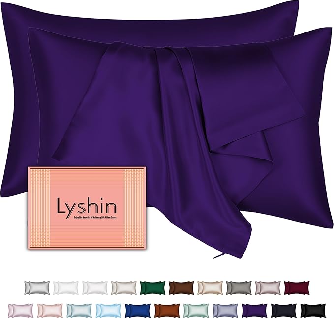 Mulberry Silk Pillow Cases 2 Pack Queen Size 20x30 Inches with Hidden Zipper, Ultra Smooth and Soft Breathable Cooling Silk Satin Pillowcase Set of 2, Better for Hair and Skin, Gifts for Women Men