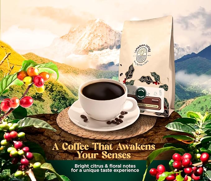 Samarian Coffee Medium Roast – Colombian Single-Origin Arabica – Specialty Ground Coffee with Citrus & Floral Notes – Smooth & Aromatic – For Pour Over, French Press, Chemex, V60 – 12oz Bag