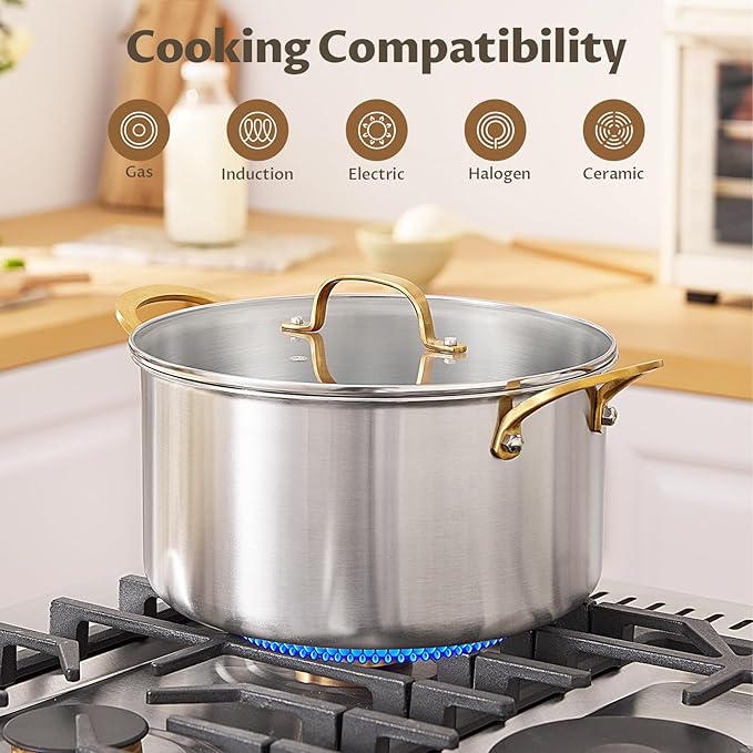 BEZIA 6 Quart Fully-Clad 3-Ply Stainless Steel Stockpot, Soup Pot with Lid, Even Heat Distribution, Cooking Pot with Sturdy Handles, Compatible with All Cooktops, Perfect for Soups & Stews, Silver