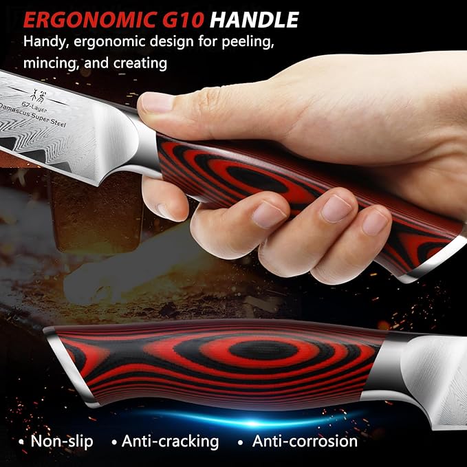 HOSHANHO Paring Knife 3.75 Inch Small Kitchen Knife, Super Sharp Damascus Steel Fruit Knife, Multifunctional Peeling Knife for Cutting Fruit Vegetables