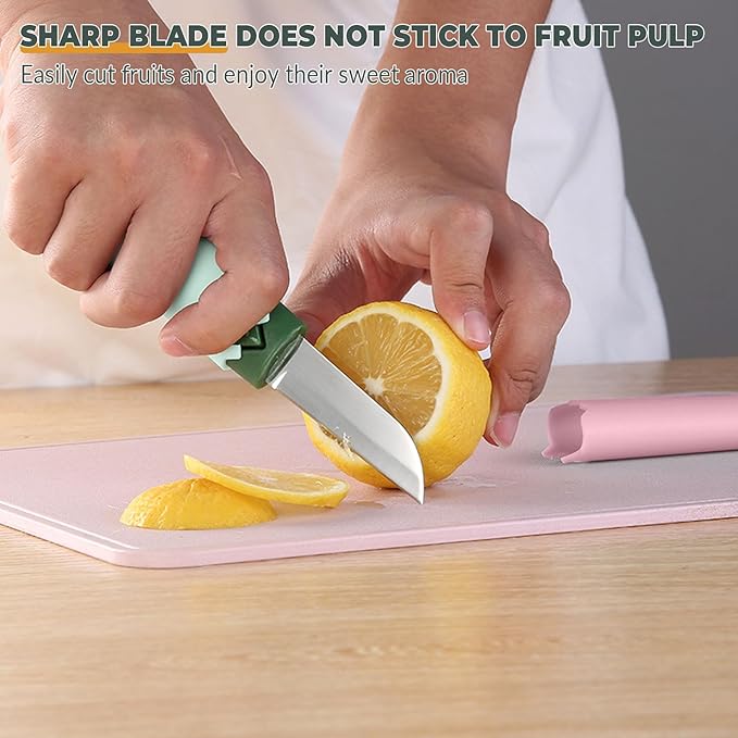 2 in 1 stainless steel Paring knife Peeler; fruit peeler; apple peeler; pear peeler, vegetable peeler, Kitchen Peeler (1, Green Pink)