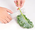Herb Stripper Stainless Steel Kitchen Herb Leaf Stripping Tool Metal Herb Pealer LooseLeaf Kale Razor for Kale, Chard, Collard Greens, Thyme, Basil, Rosemary