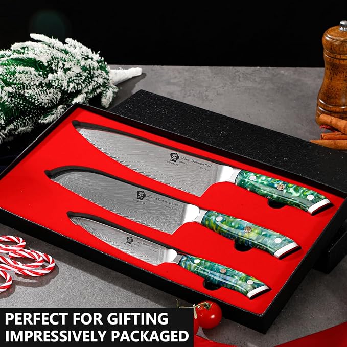 WILDMOK Professional Kitchen Knife Sets 3 PCS,Damascus Steel Chef Knife Set, 3PCS Ultra Sharp Japanese Kitchen Knives, Ergonomic Resin Handle Elegant Gift Box for Home or Restaurant
