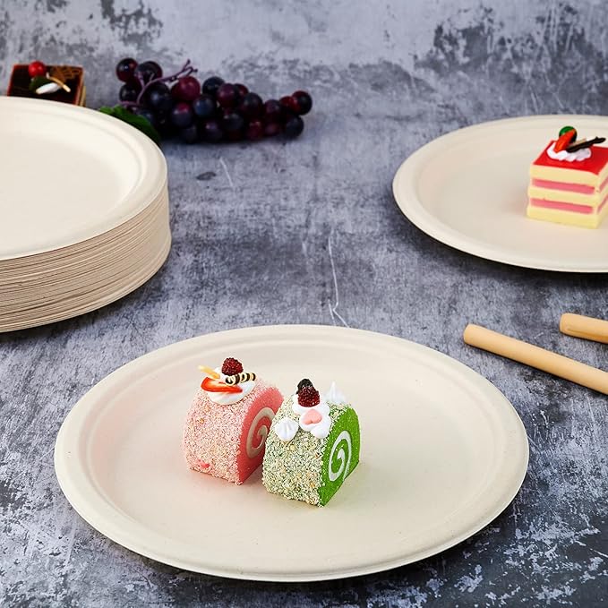 Vplus 500 Pack Compostable Disposable Paper Plates 10.25 inch Super Strong Paper Plates 100% Bagasse Natural Biodegradable Eco-Friendly Sugarcane (nature)