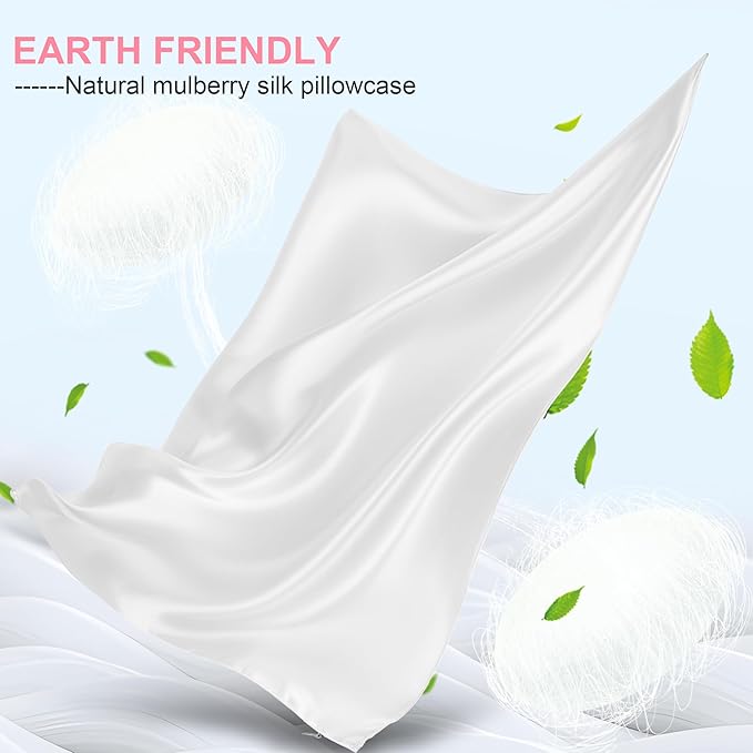 Mulberry Silk Pillow Cases 2 Pack Queen Size 20x30 Inches with Hidden Zipper, Ultra Smooth and Soft Breathable Cooling Silk Satin Pillowcase Set of 2, Better for Hair and Skin, Gifts for Women Men