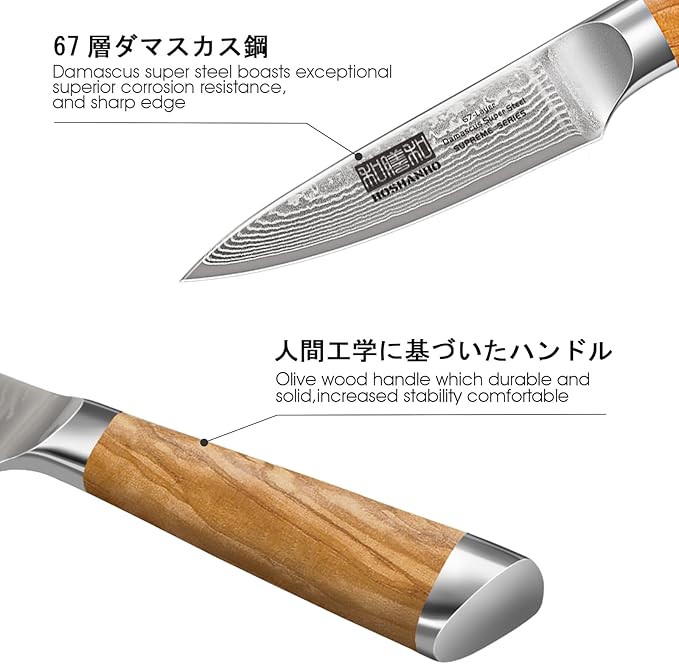 HOSHANHO Damascus Paring Knife 3.75 Inch, Professional 67 Layers Damascus Super Steel Small Fruit Knife, Super Sharp Hand Forged Japanese Paring Knife