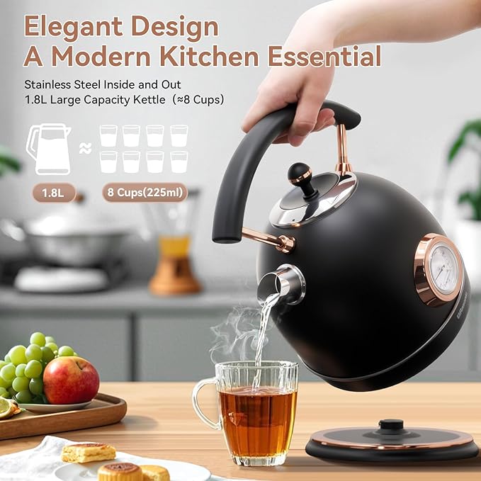 Rasonic Retro Electric Kettle Stainless Steel, 1.8L Tea Water Boiler, 1500W Fast Quiet Boil, Temperature Gauge, Auto Shut-Off, Boil-Dry Protection, Matt Black and Rose Gold