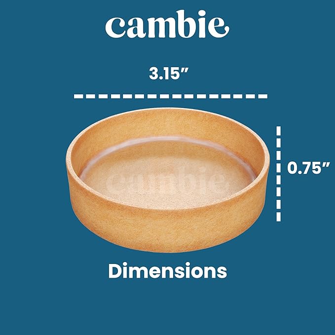 Cambie Square Vanilla Tart Shells, French Style Tart Shells, White Chocolate Coating (Round, 1 Count (Pack of 1))