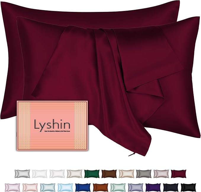 Mulberry Silk Pillow Cases 2 Pack Queen Size 20x30 Inches with Hidden Zipper, Ultra Smooth and Soft Breathable Cooling Silk Satin Pillowcase Set of 2, Better for Hair and Skin, Gifts for Women Men